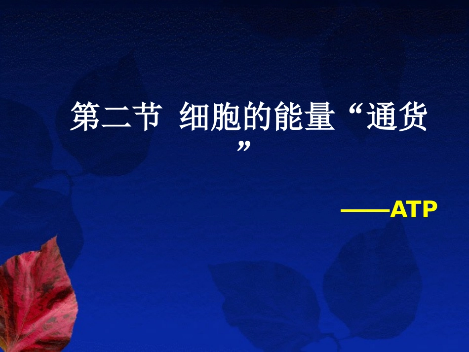细胞的能量通货ATP_第3页