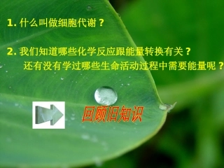细胞的能量通货ATP