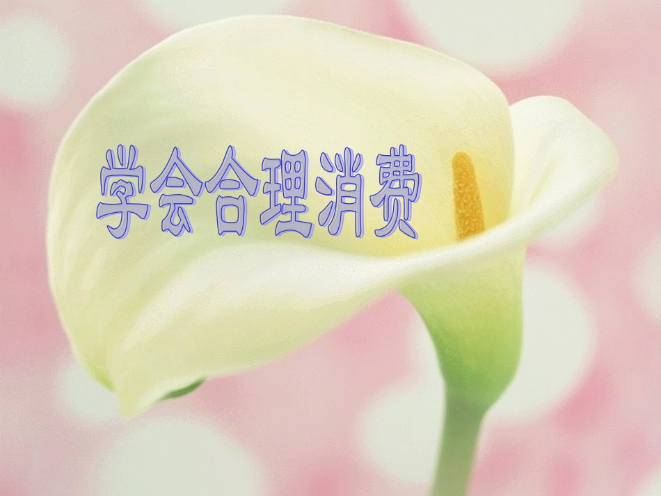学会合理消费 (3)_第1页