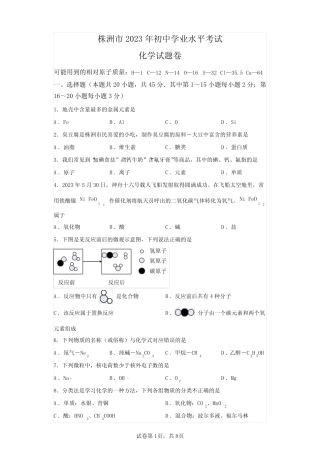 2023年湖南株洲市中考化学试卷真题及答案解析(精校版) 