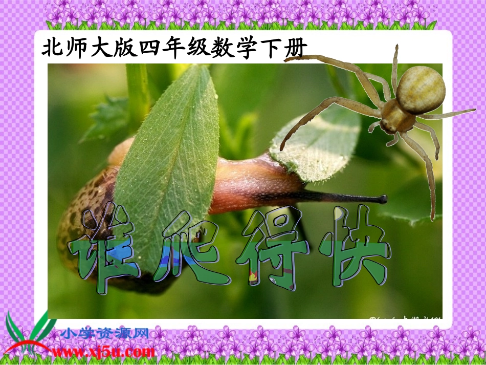 北师大版数学四年级下册《谁爬得快》PPT课件_第1页