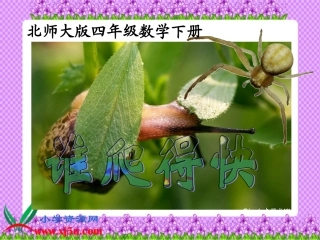 北师大版数学四年级下册《谁爬得快》PPT课件
