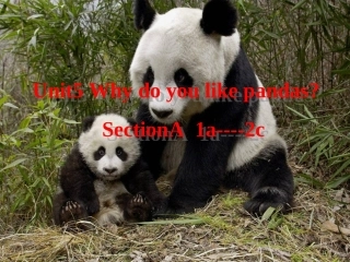 七年级下册英语unit5whydoyoulikepandas？