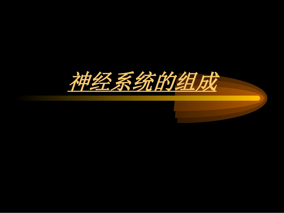 神经系统的组成和功能_第1页