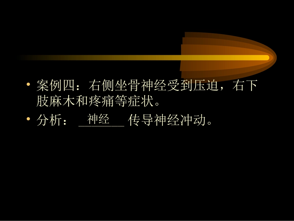 神经系统的组成和功能_第3页