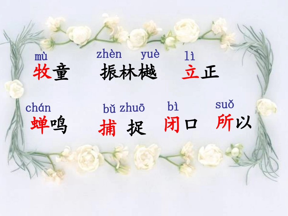 _13古诗两首(所见小池_第3页