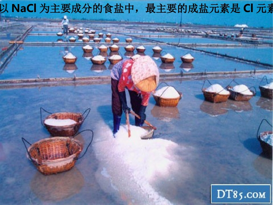 富集在海水中的元素-氯_第2页