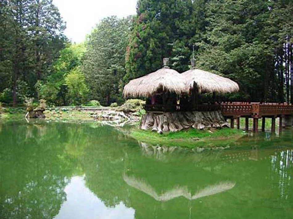 阿里山纪行课件_第3页