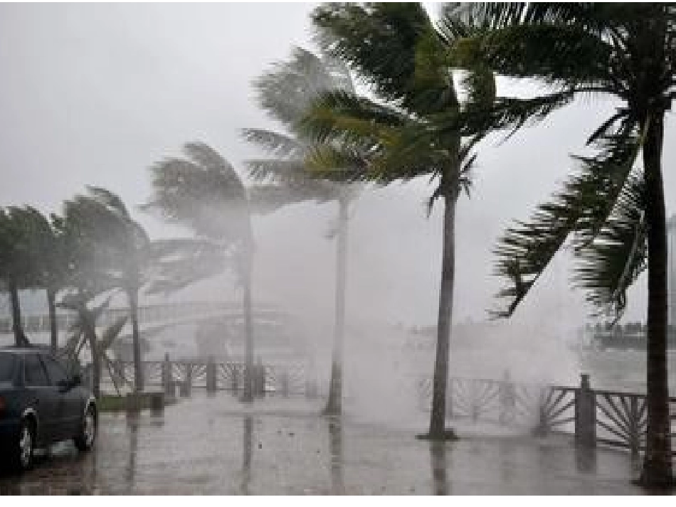 风雨__贾平凹_第2页
