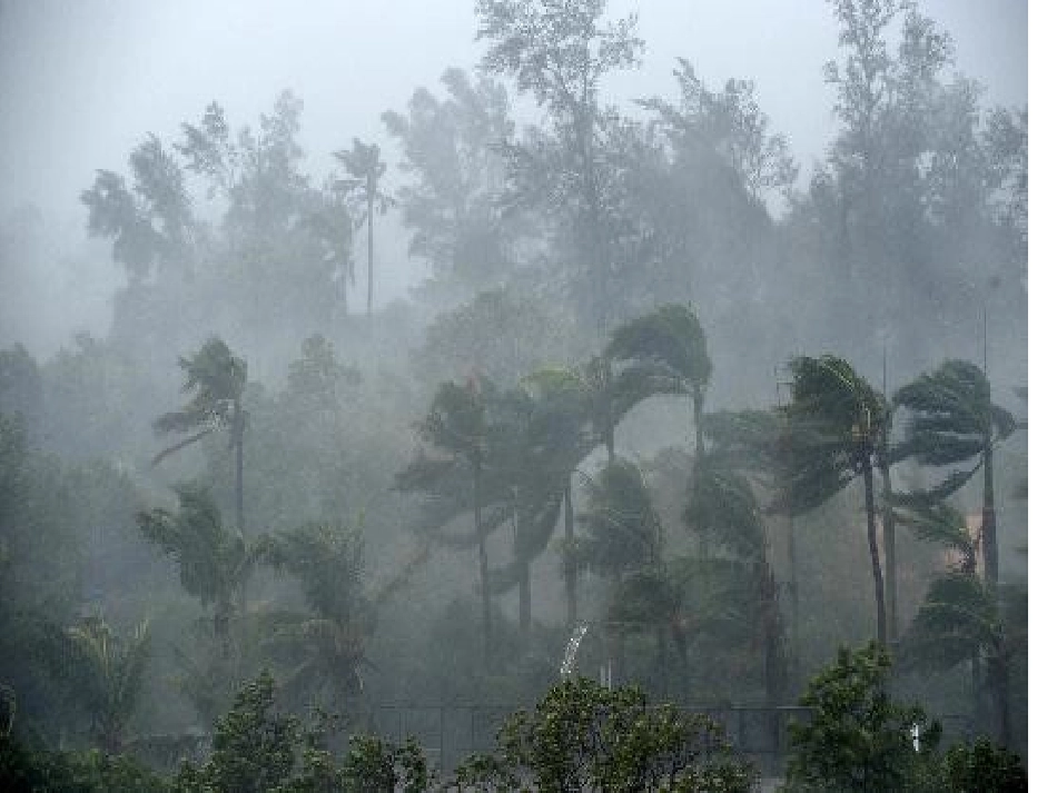 风雨__贾平凹_第3页