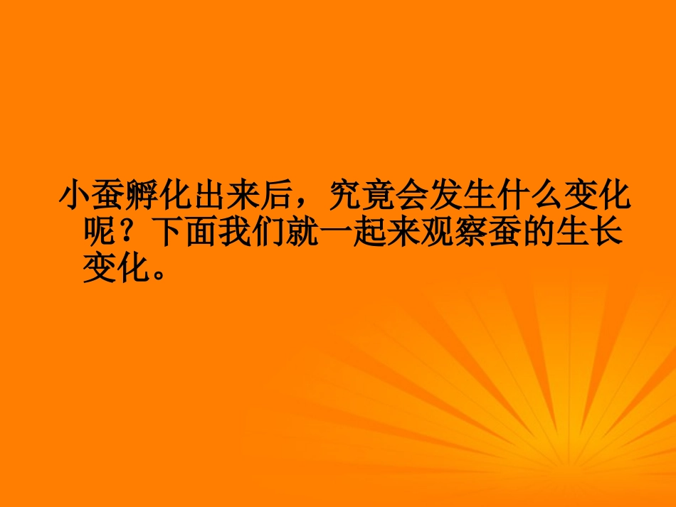 三年级科学下册_蚕的生长变化_3课件_教科版_第2页