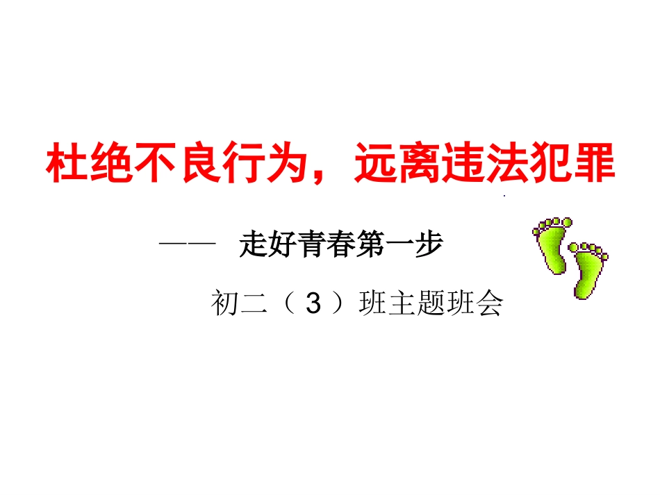 法制主题班会_第3页