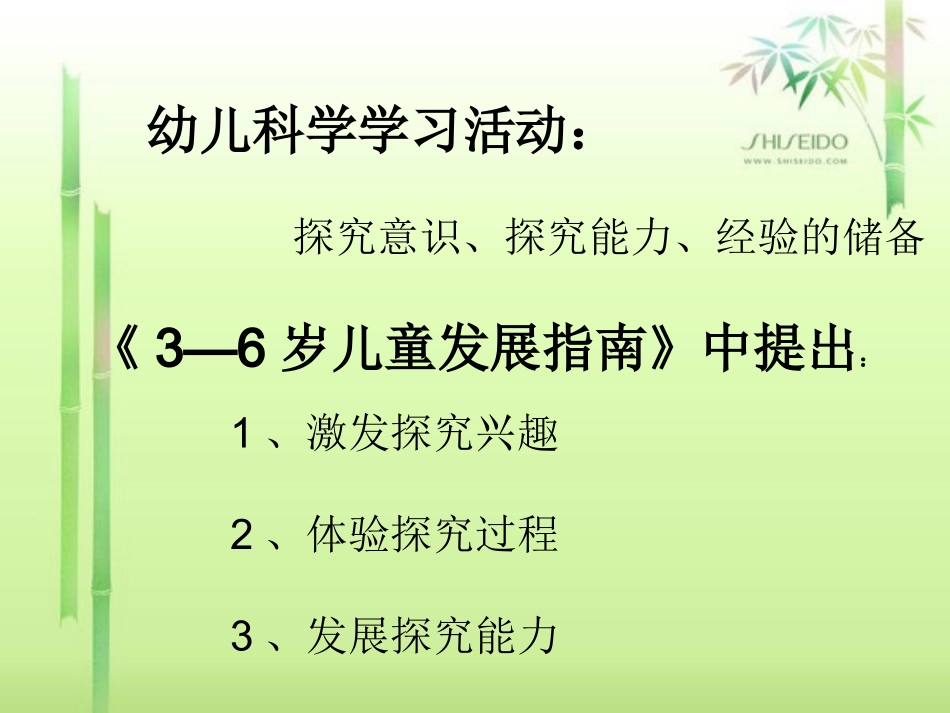 科学活动课展示_第3页