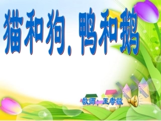 猫和狗，鸭和鹅