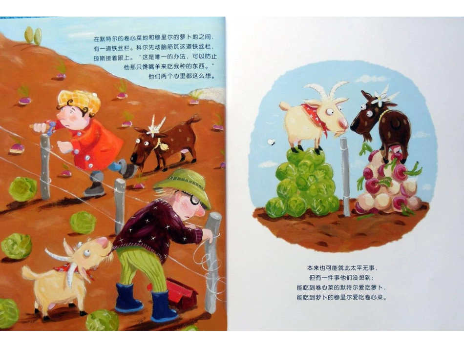 两只羊的故事_第3页
