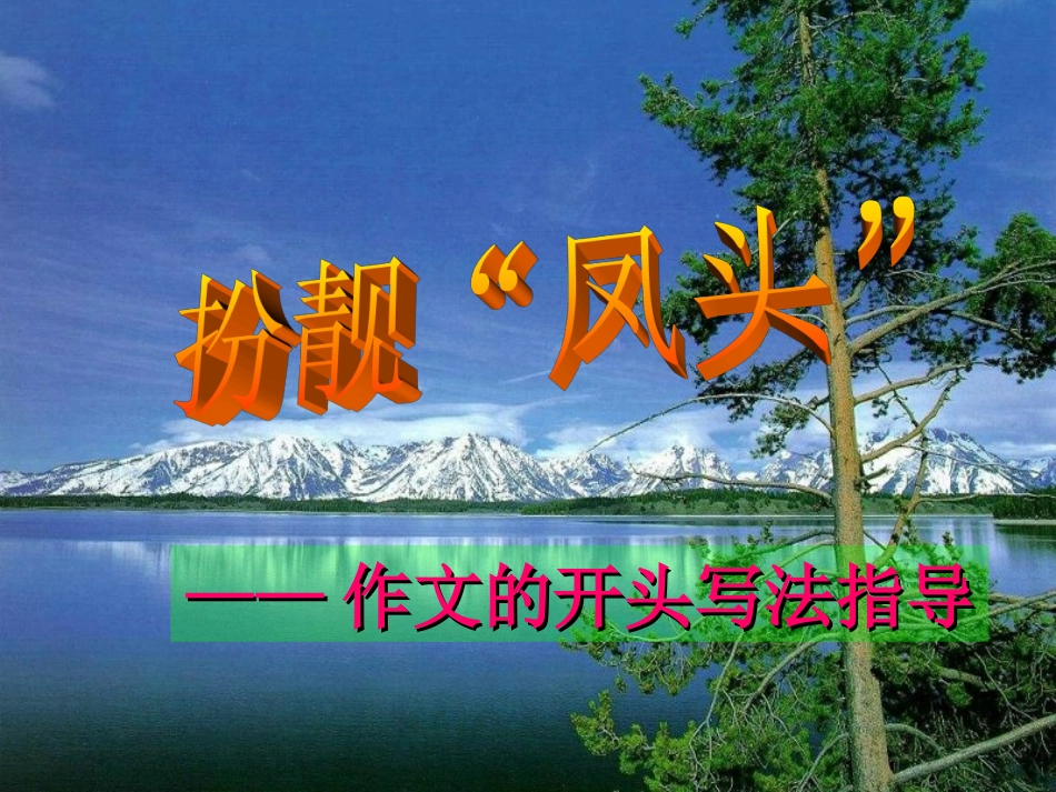 作文2作文的开头写法指导_第1页