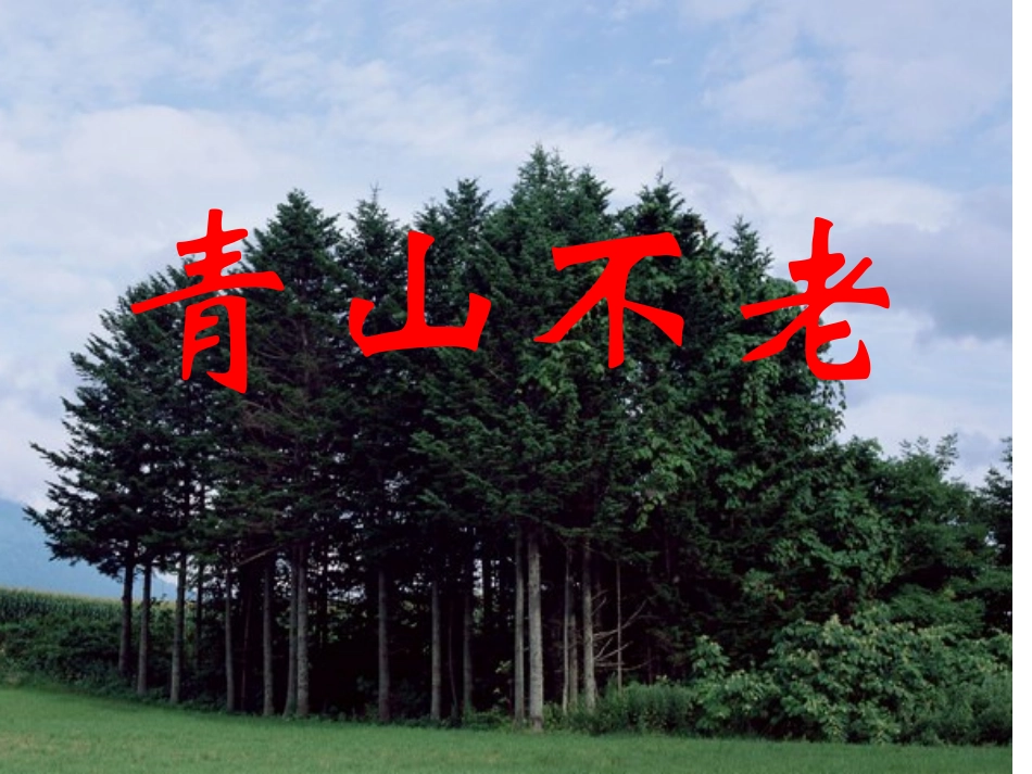 青山不老 (2)_第1页