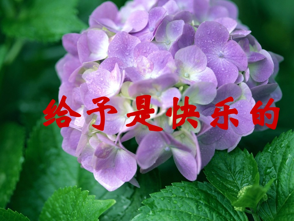 《给予是快乐的》课件3[1]_第1页