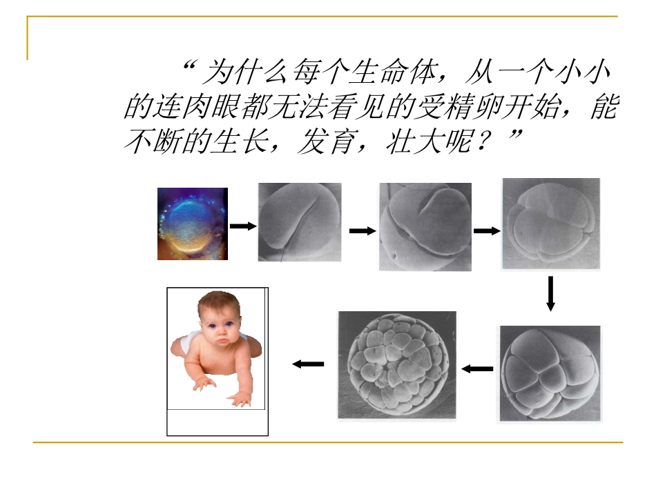 人体是怎样构成的_第2页