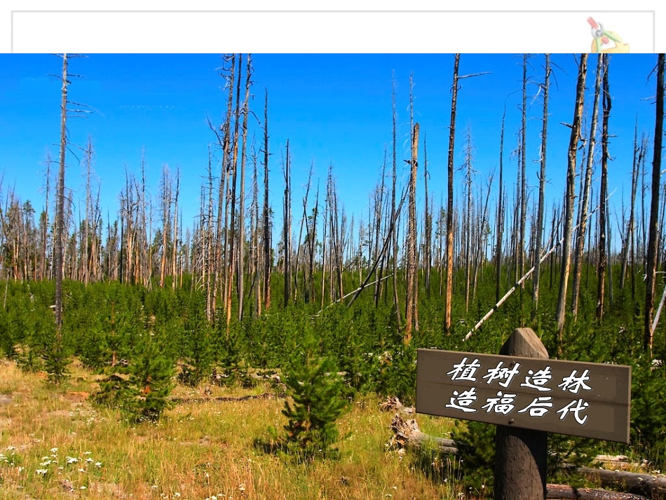 用百分数解决问题（例3）_第3页