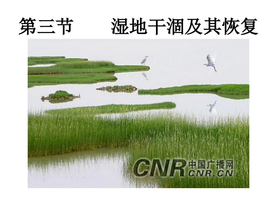 湿地干涸及其恢复_第1页
