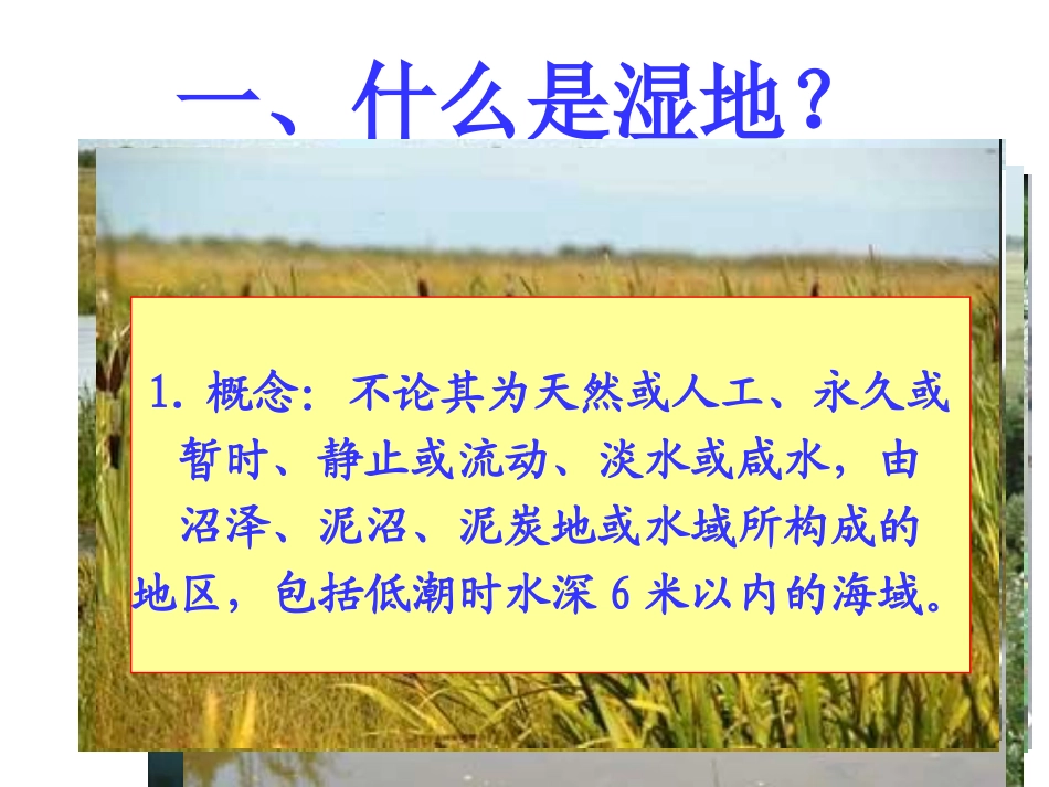 湿地干涸及其恢复_第2页