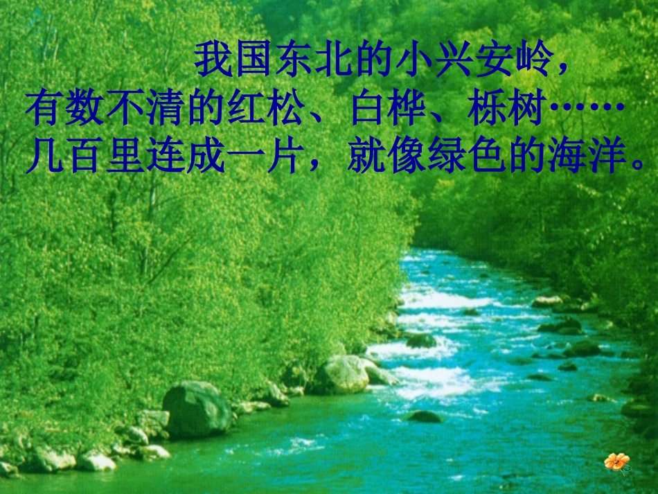 王莉美丽的小兴安岭_第3页