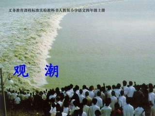 《观潮》课件