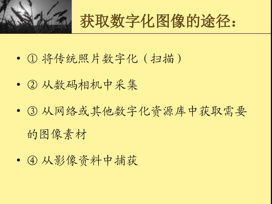 数字化图像的采集与加工_第2页