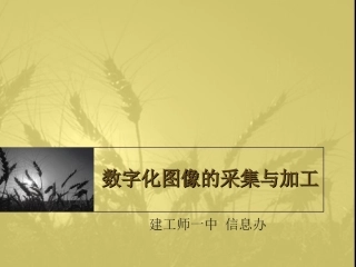 数字化图像的采集与加工