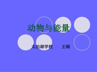 动物与能量fangan1