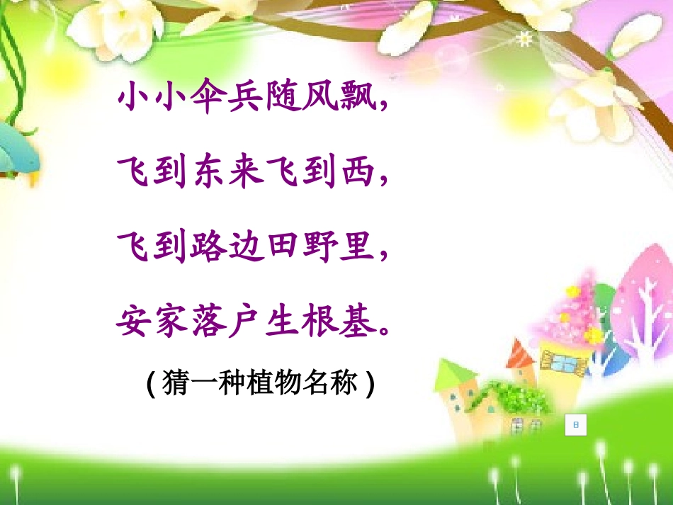 蒲公英课件-2(1)_第1页