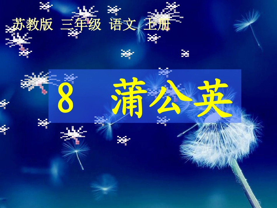 蒲公英课件-2(1)_第3页