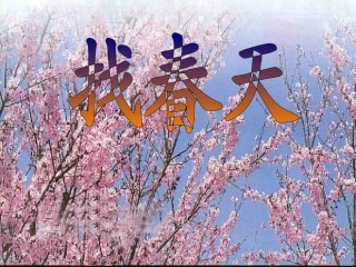 找春天二年级下册第一课课件