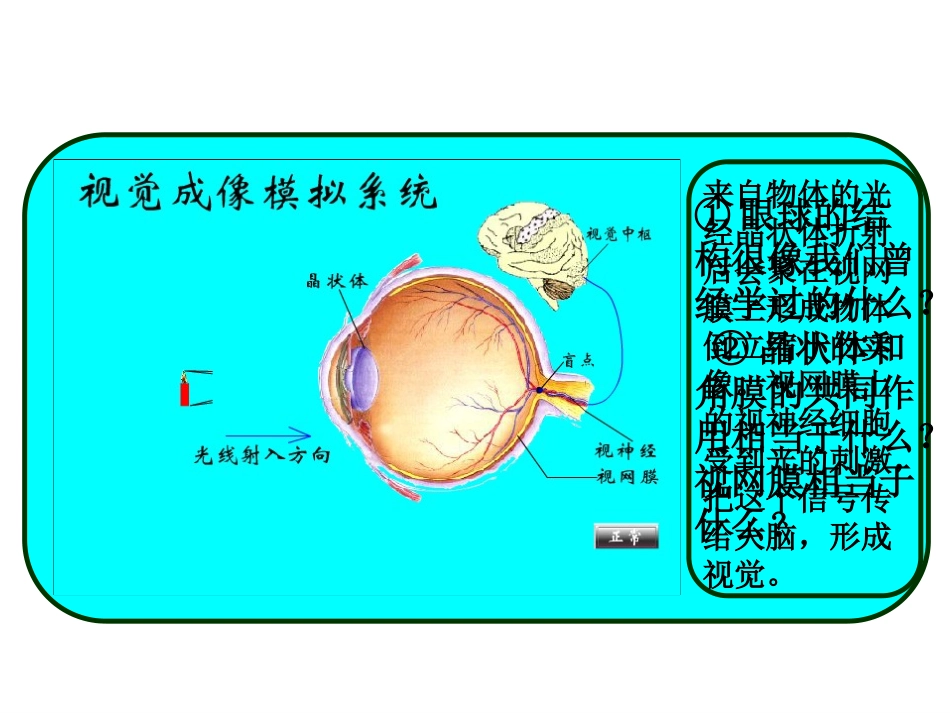 眼睛和眼镜+flash课件_第3页