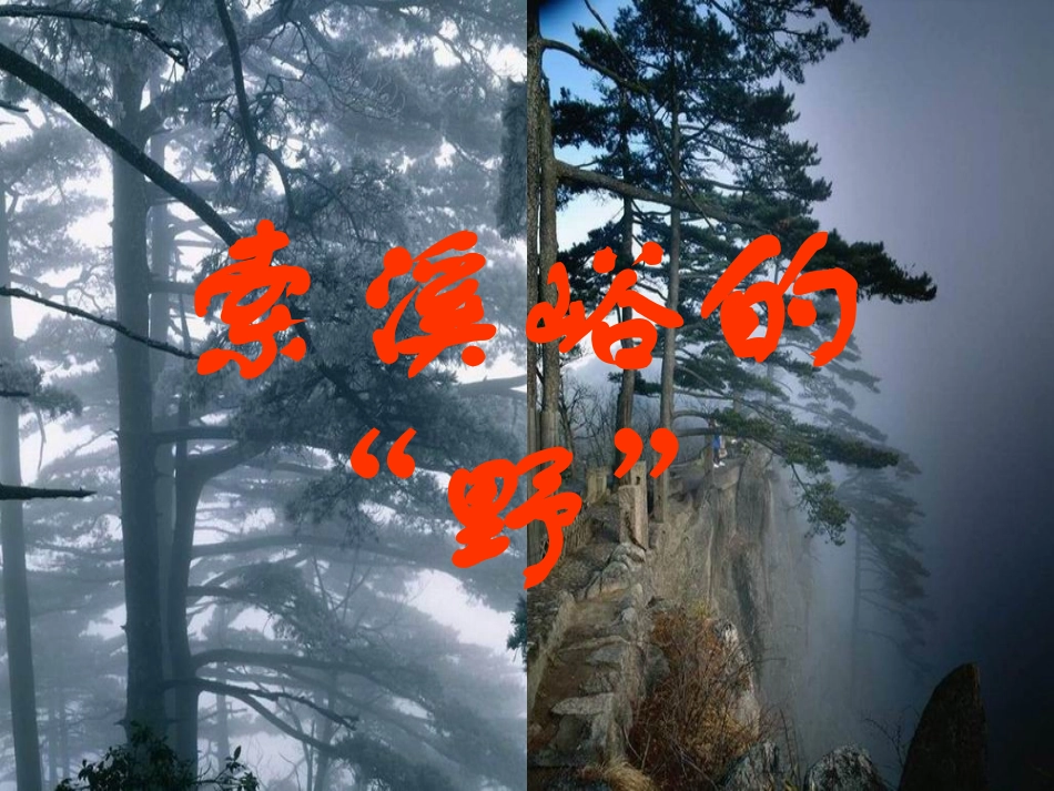 《索溪峪的“野”》课件2_第1页