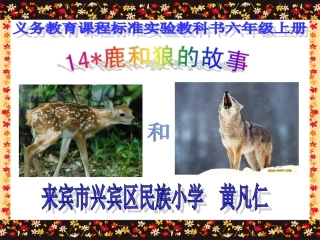 《14鹿和狼的故事》(黄凡仁)