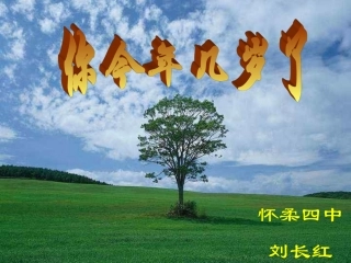 等式基本性质
