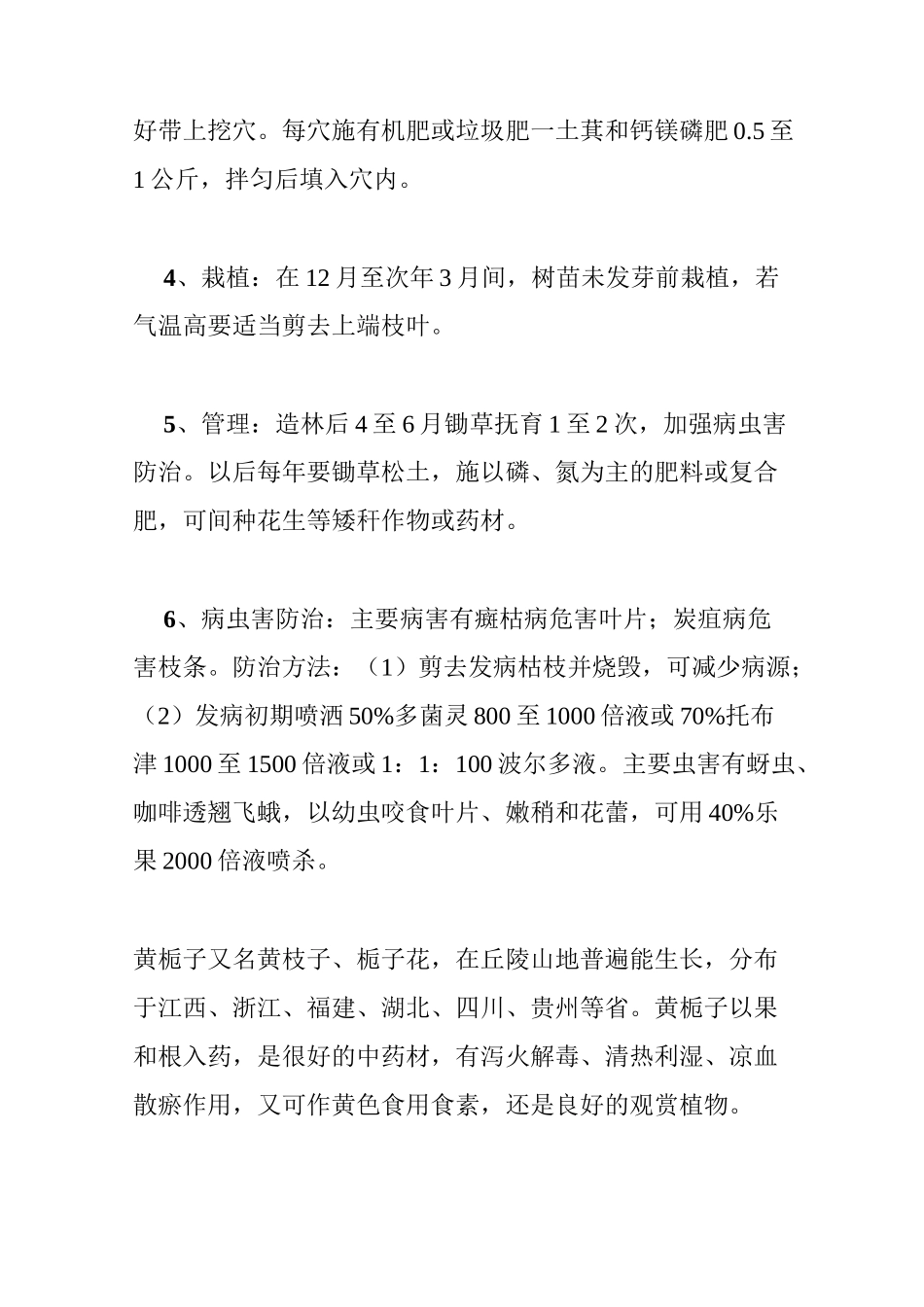 黄栀子栽培技术汇总_第2页