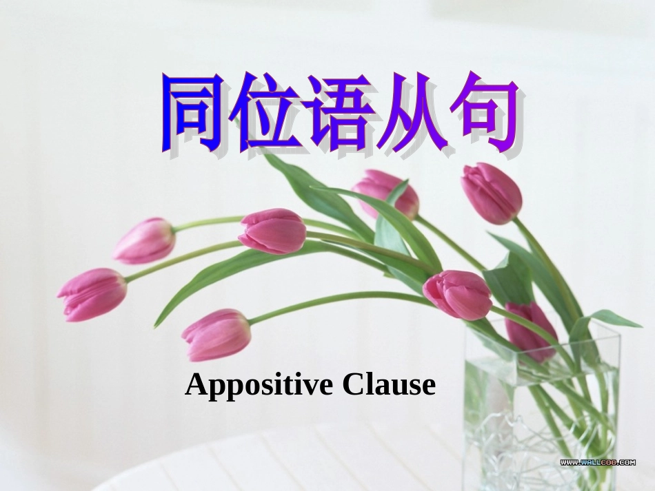 高中同位语从句课件（公开课）_第1页