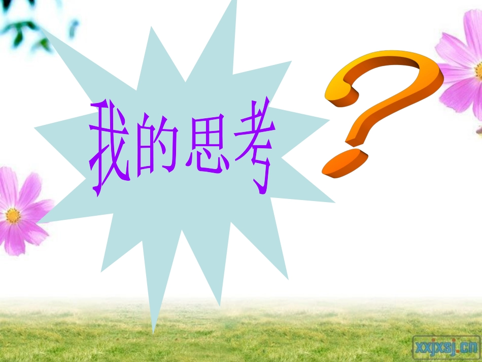 用字母表示数--说课课件111_第2页