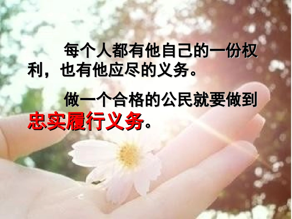 忠实履行义务(定)_第1页
