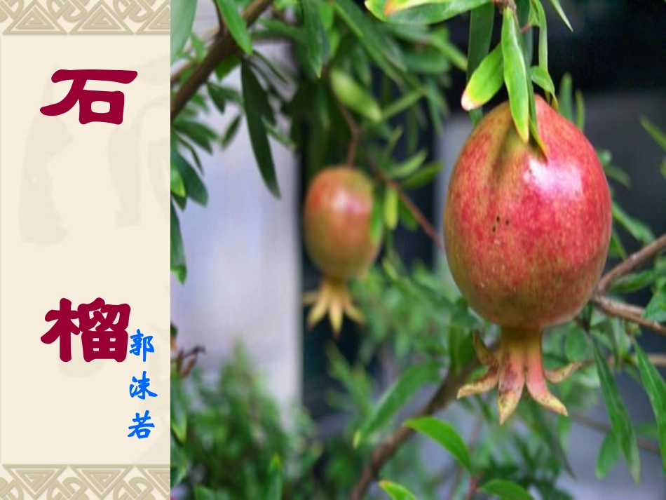 《石榴》课件1（24张PPT）（苏教版八年级下）_第2页