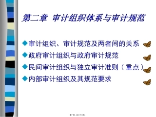 第二章-审计组织体系与审计规范