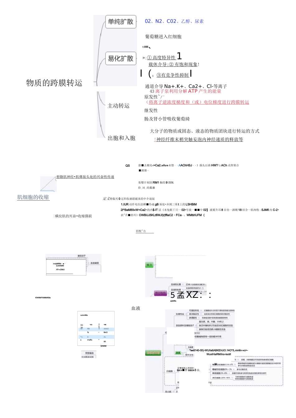 生理学思维导图_第1页