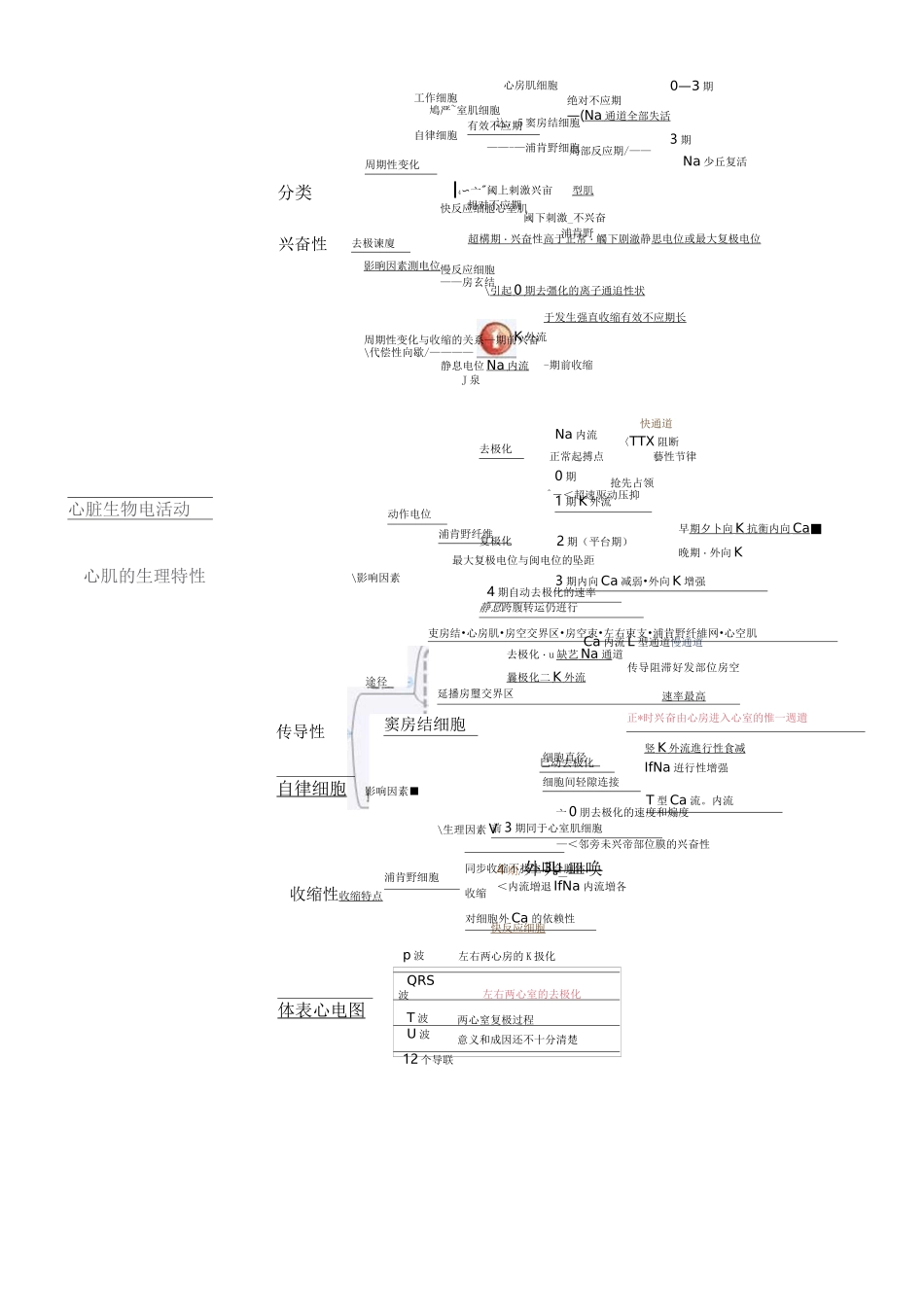生理学思维导图_第2页