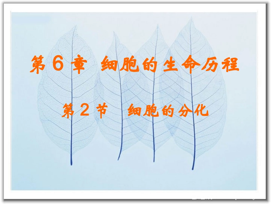 细胞的分化课件新人教必修_第1页
