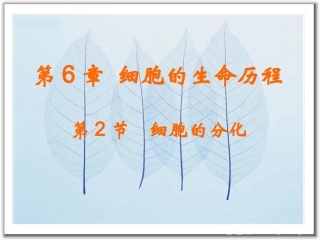 细胞的分化课件新人教必修