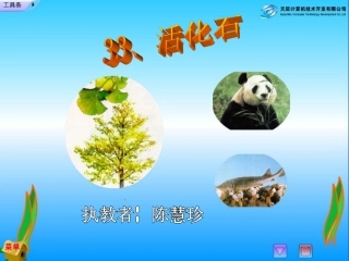 赛课33、《活化石》陈慧珍课件【21页】