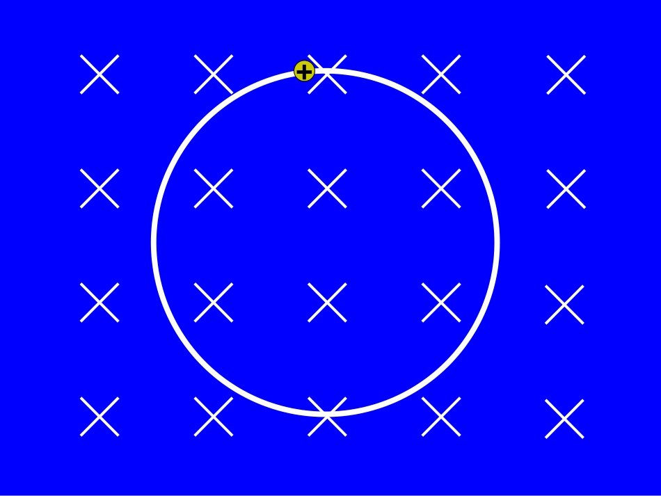 带电粒子在匀强磁场中的运动公开课_第3页